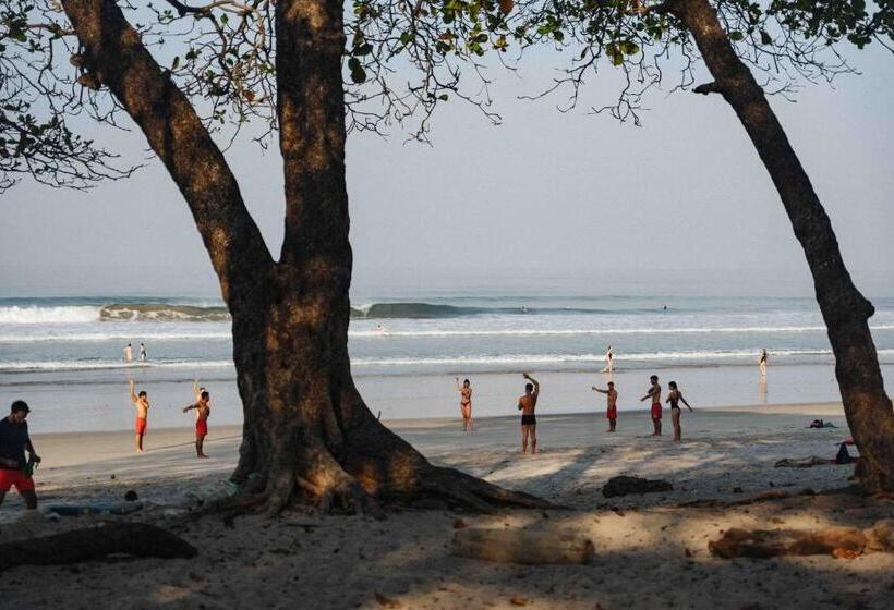 호스텔 Zeneidas Surf Garden