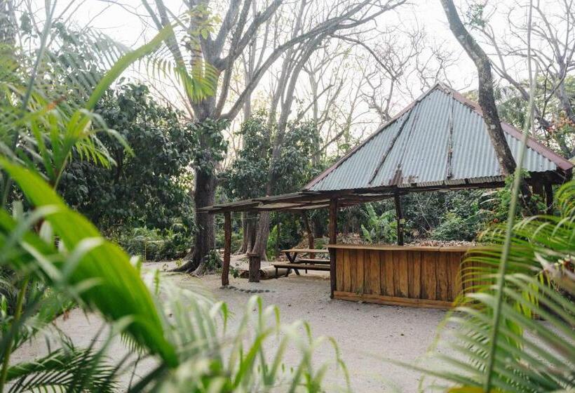 호스텔 Zeneidas Surf Garden