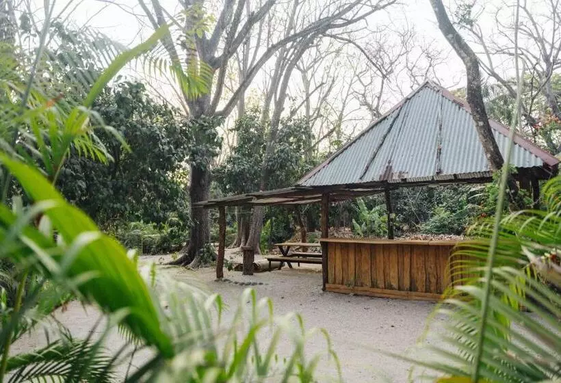 Retkeilymaja Zeneidas Surf Garden