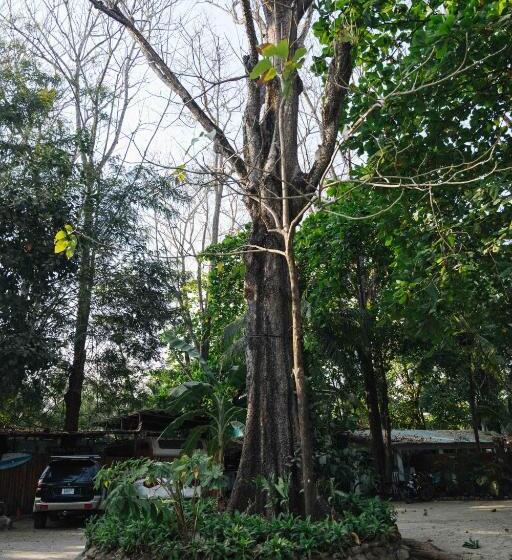 호스텔 Zeneidas Surf Garden