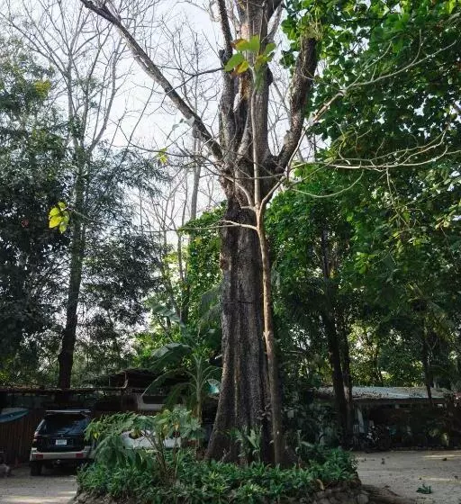 Retkeilymaja Zeneidas Surf Garden