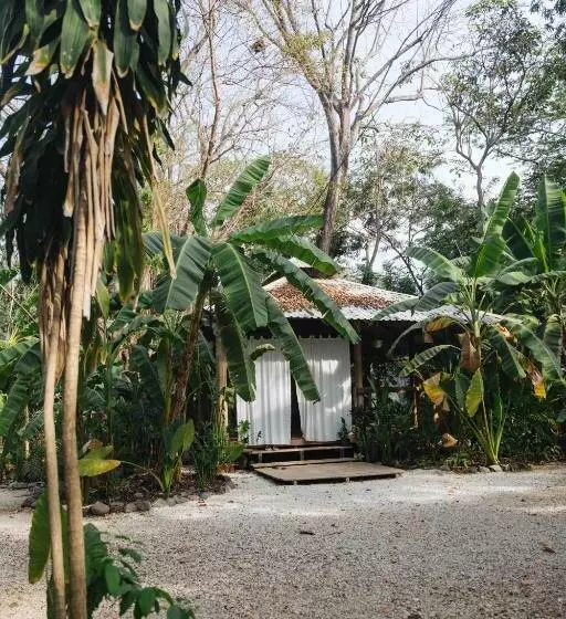 Retkeilymaja Zeneidas Surf Garden