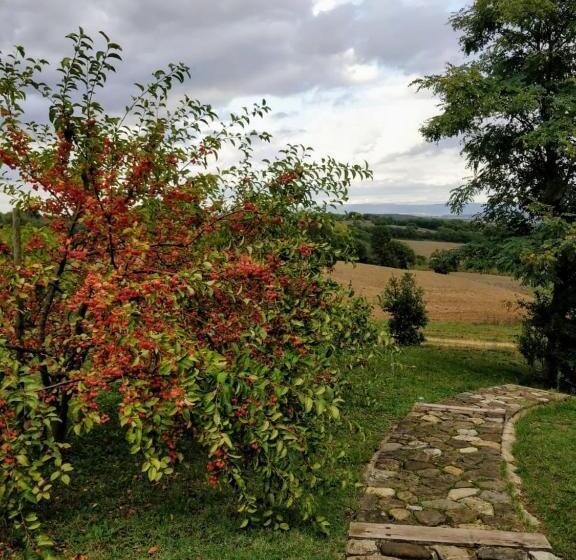Bed and Breakfast La Casa Di Arianna