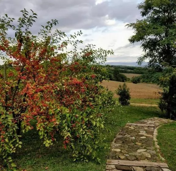 ベッドアンドブレックファースト La Casa Di Arianna