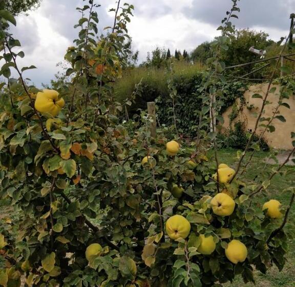 Bed and Breakfast La Casa Di Arianna