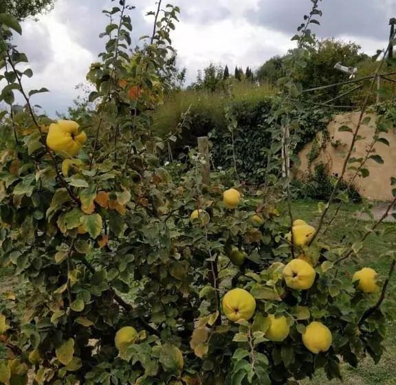 ベッドアンドブレックファースト La Casa Di Arianna