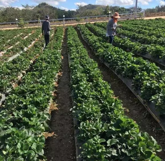 Khao Kho Overview Resort