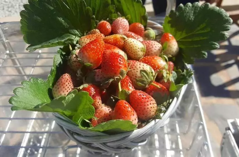 Khao Kho Overview Resort