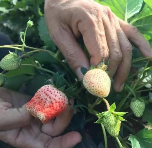 Khao Kho Overview Resort