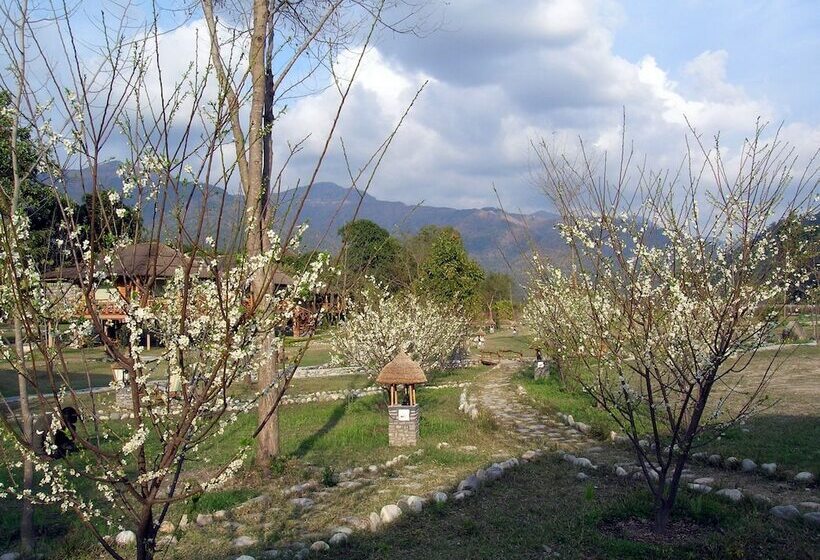 Resort Camp Riverwild