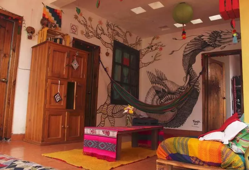 هاستل Hostal La Isla