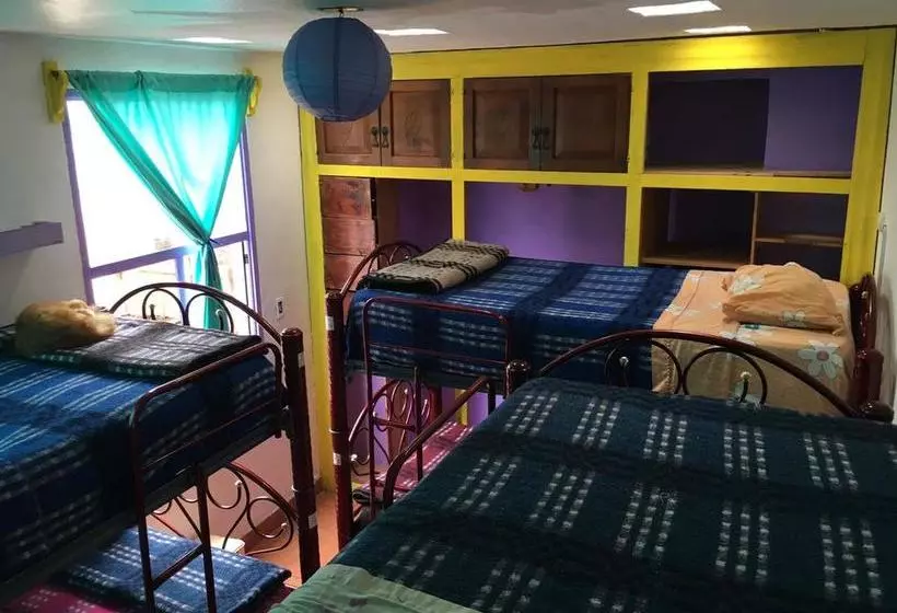 هاستل Hostal La Isla