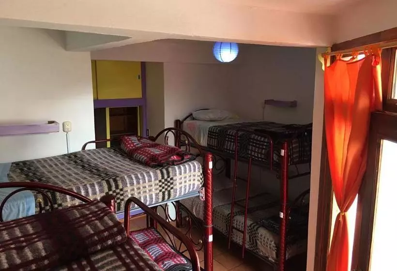 هاستل Hostal La Isla