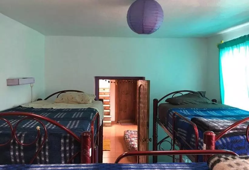 هاستل Hostal La Isla