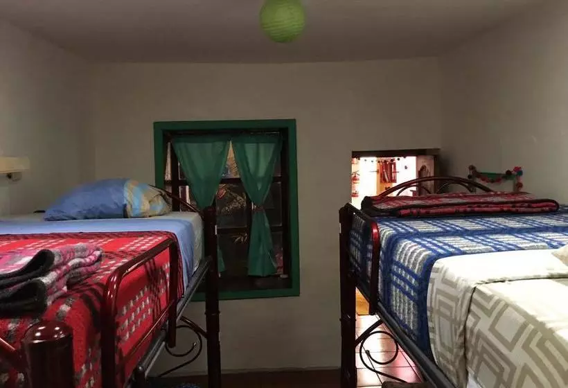 هاستل Hostal La Isla