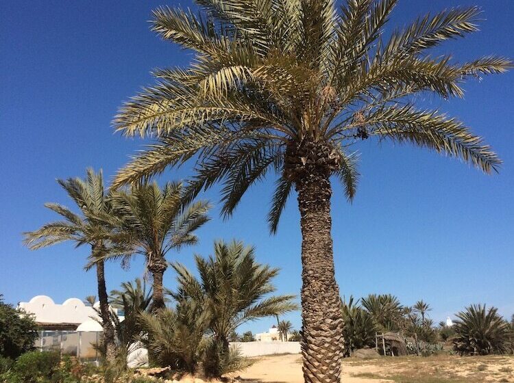 مبيت وإفطار Dar Lagune Djerba Vue De Mer