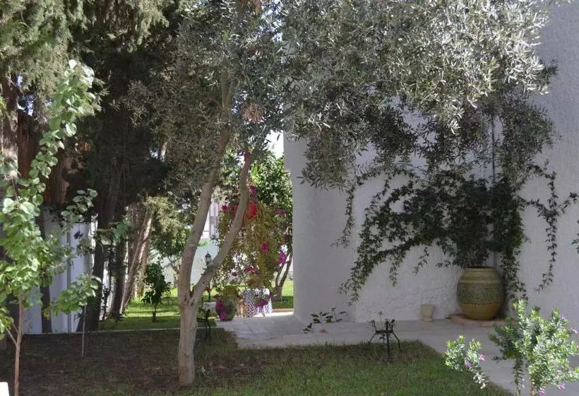 Aamiaismajoitus (B&B) Dar Salama