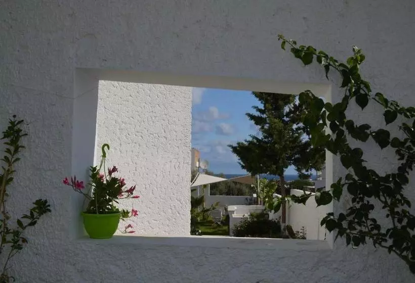 Aamiaismajoitus (B&B) Dar Salama