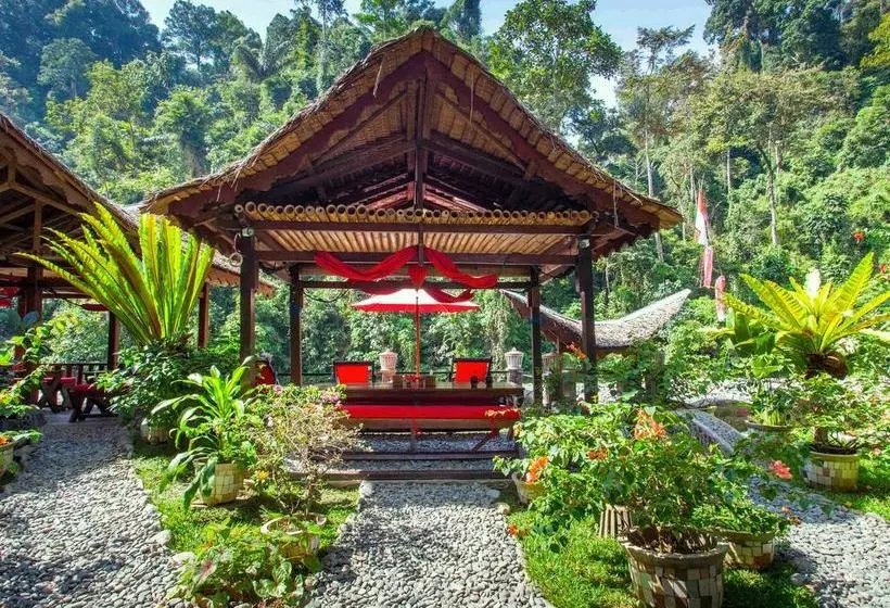 Aamiaismajoitus (B&B) Ecotravel Cottages Bukit Lawang