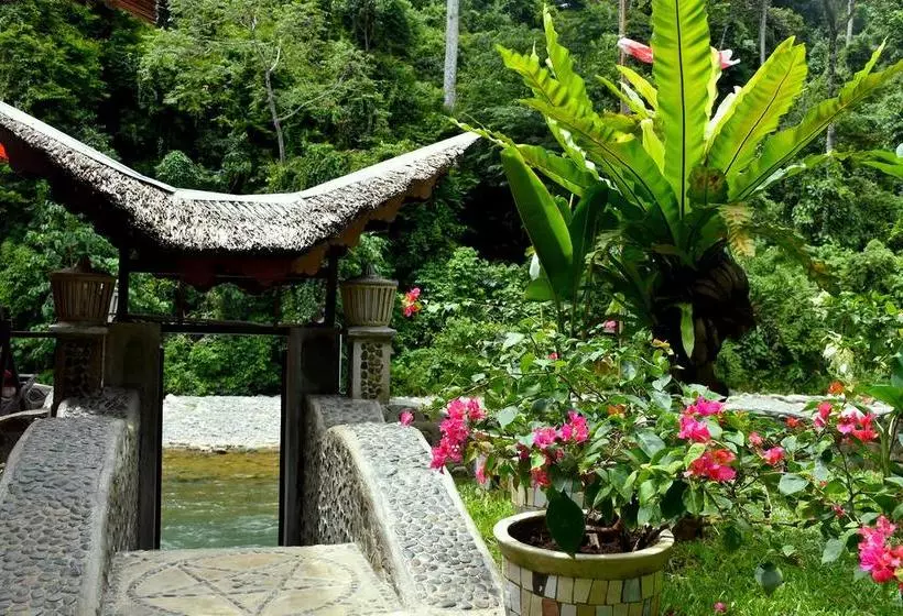 Aamiaismajoitus (B&B) Ecotravel Cottages Bukit Lawang