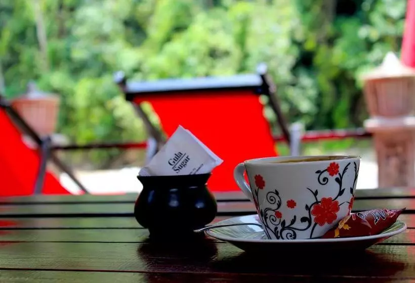 Aamiaismajoitus (B&B) Ecotravel Cottages Bukit Lawang