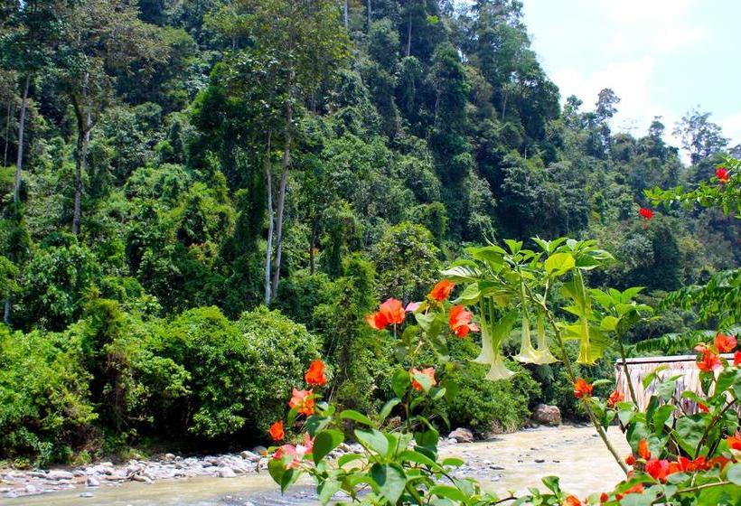 민박 Ecotravel Cottages Bukit Lawang