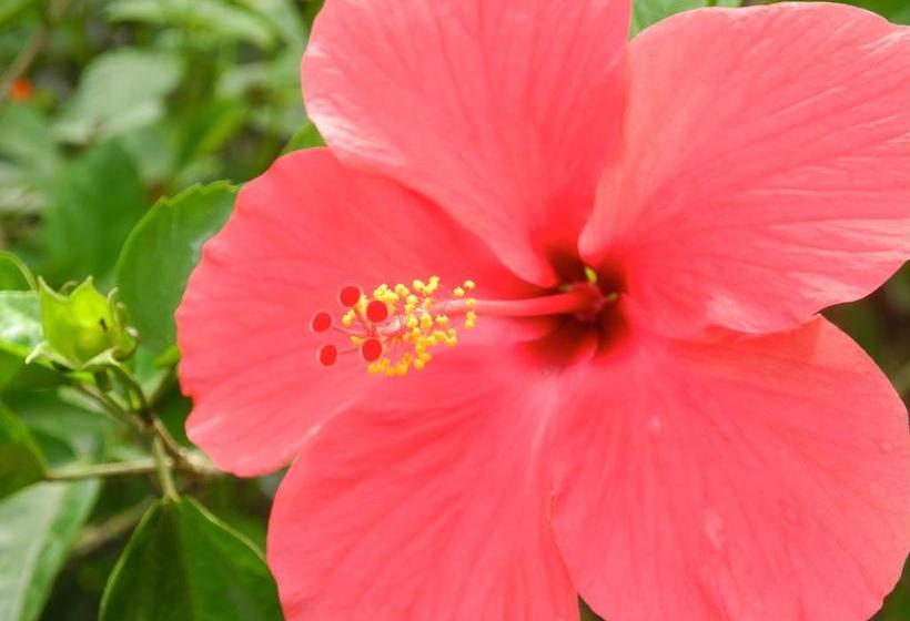 민박 Ecotravel Cottages Bukit Lawang