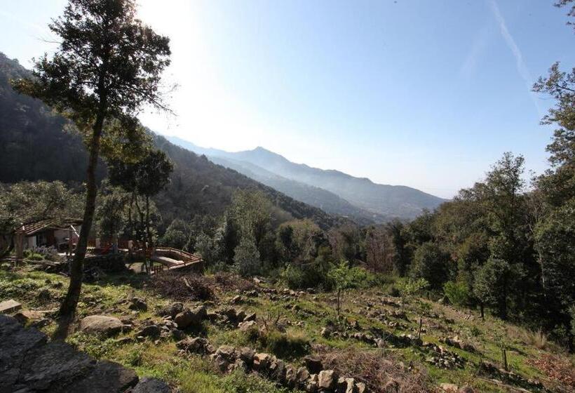 مبيت وإفطار Fonte Di Zeno