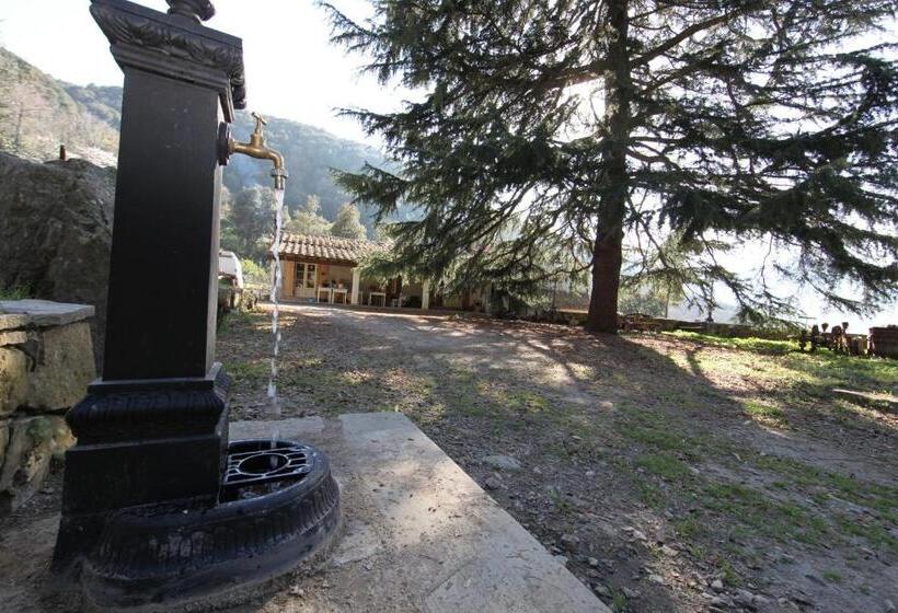 مبيت وإفطار Fonte Di Zeno