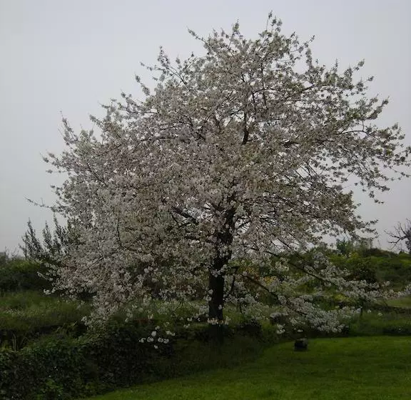 تختخواب و صبحانه L Albero Di Alberto