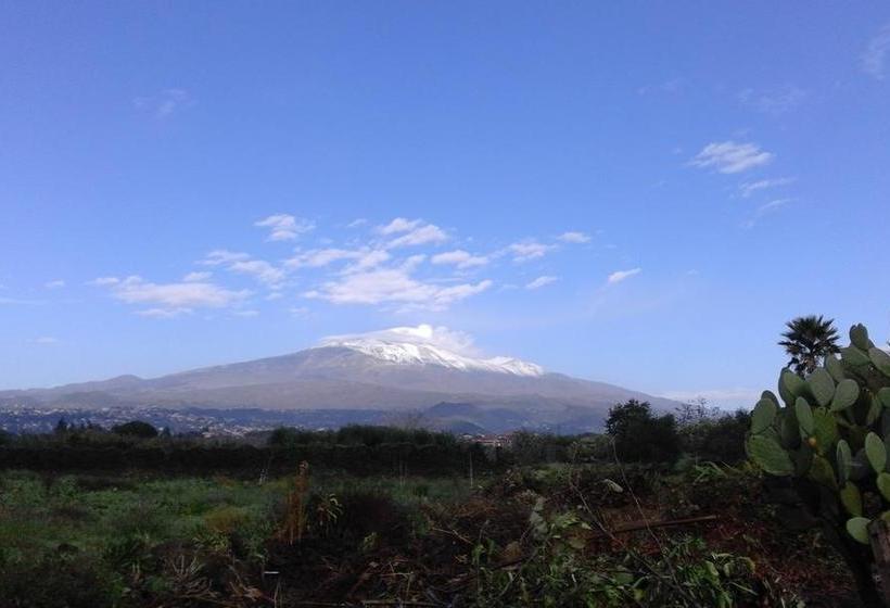 צימר L Albero Di Alberto