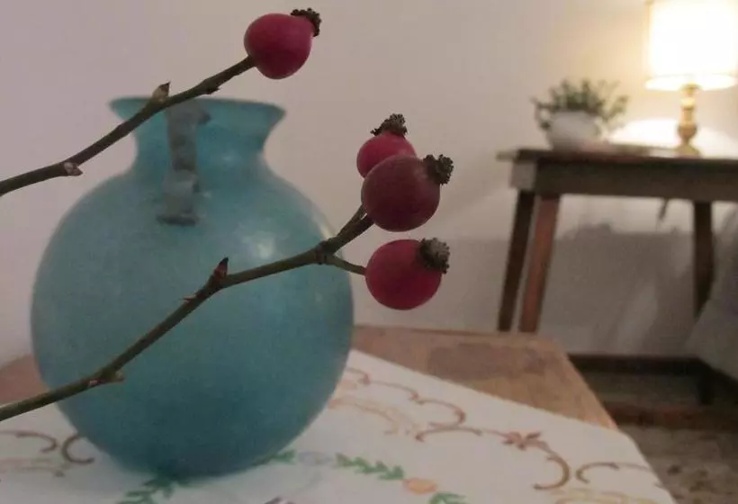 تختخواب و صبحانه L Albero Di Alberto