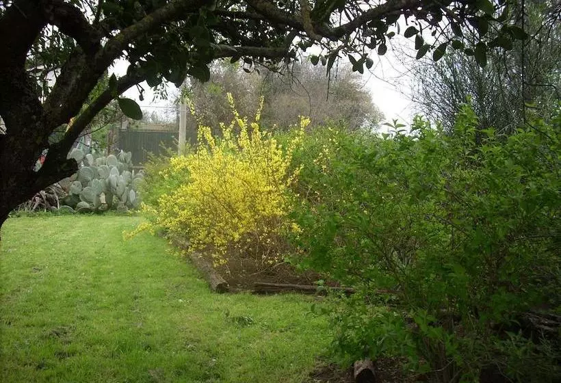 تختخواب و صبحانه L Albero Di Alberto