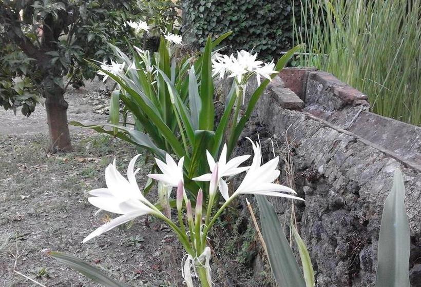 צימר L Albero Di Alberto