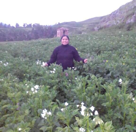 בית מלון כפרי Casa Tejedora