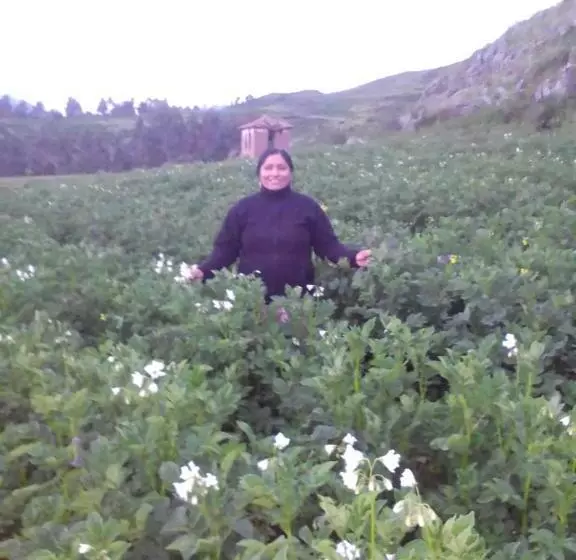 ホテル Casa Tejedora