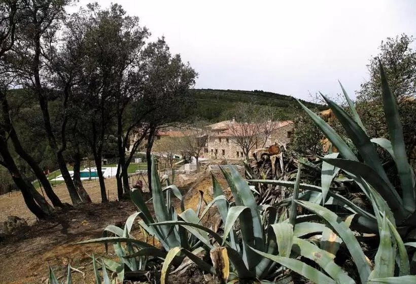 Hotel El Mangranar