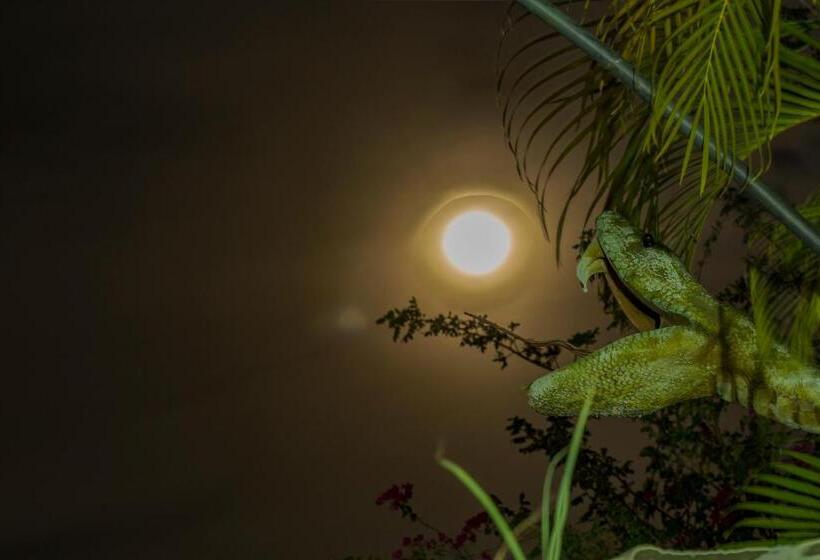 هتل El Peñon De Constantino   Tatacoa