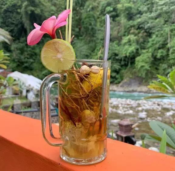 ホテル Jungle Inn Bukit Lawang