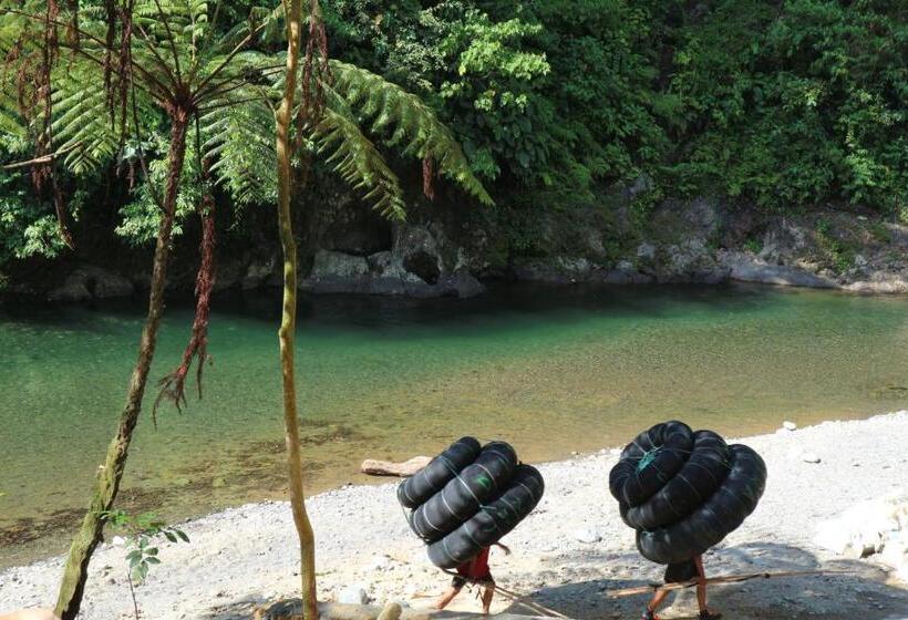 فندق Jungle Inn Bukit Lawang