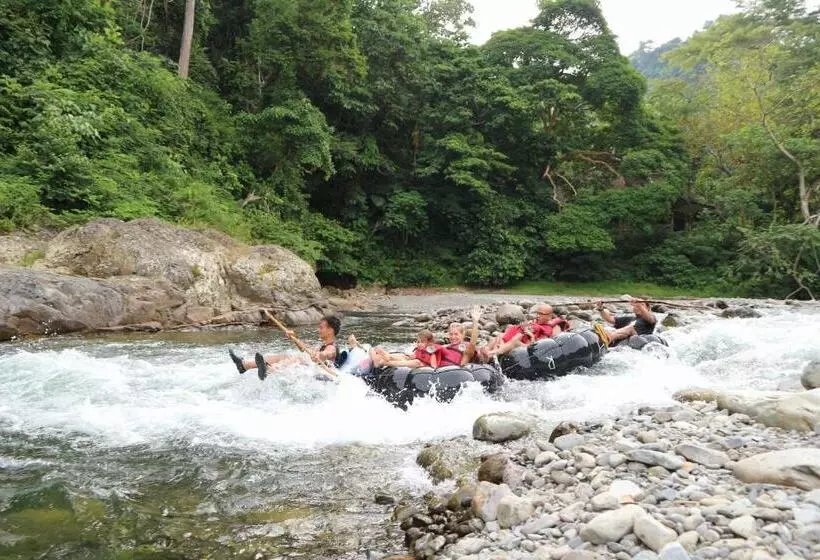 ホテル Jungle Inn Bukit Lawang