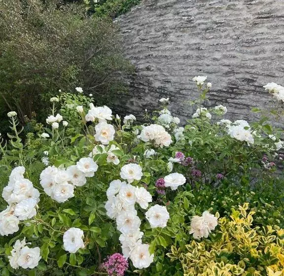 ホテル La Borie En Provence