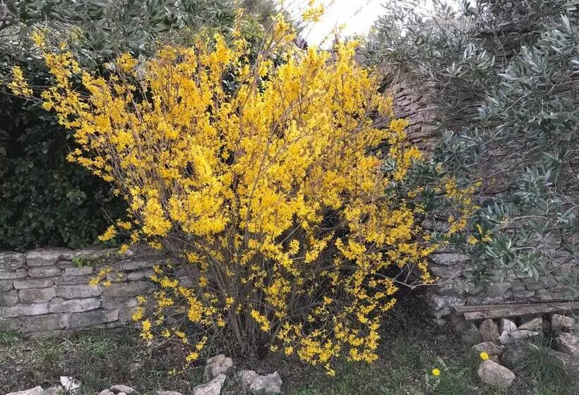 ホテル La Borie En Provence