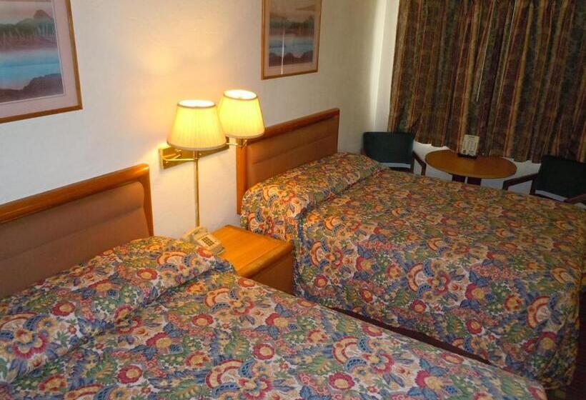 فندق على الطريق Value Inn