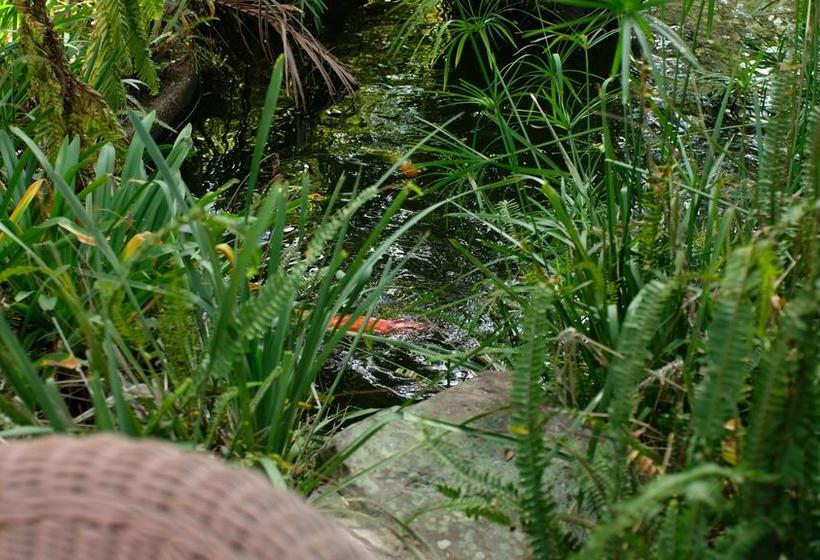 渡假胜地  Sydney Conference & Training Centre