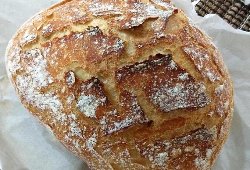 Общежитие Vila Flor Eco Centro