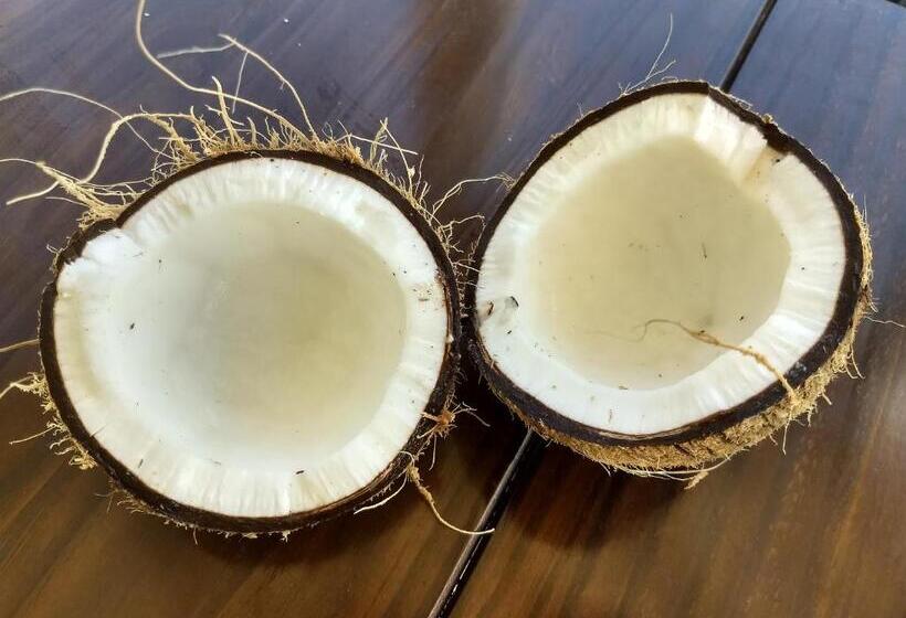 Общежитие Vila Flor Eco Centro