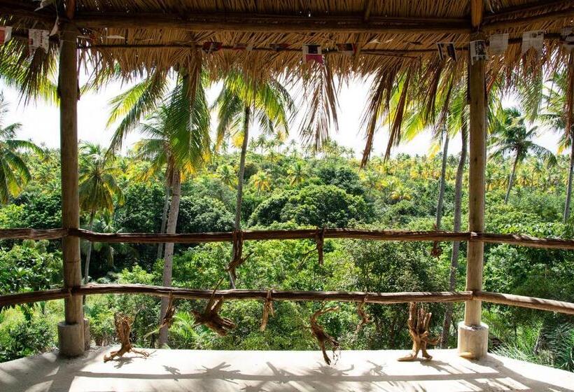 Общежитие Vila Flor Eco Centro