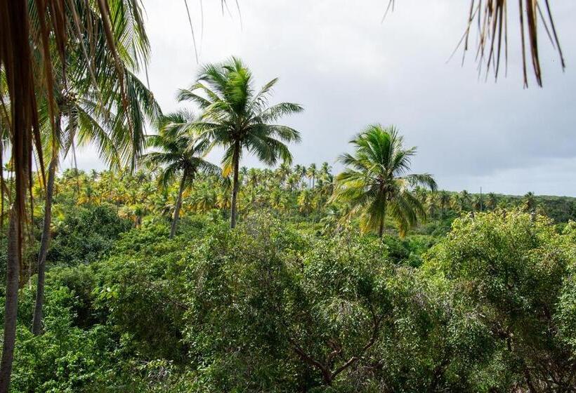 Общежитие Vila Flor Eco Centro