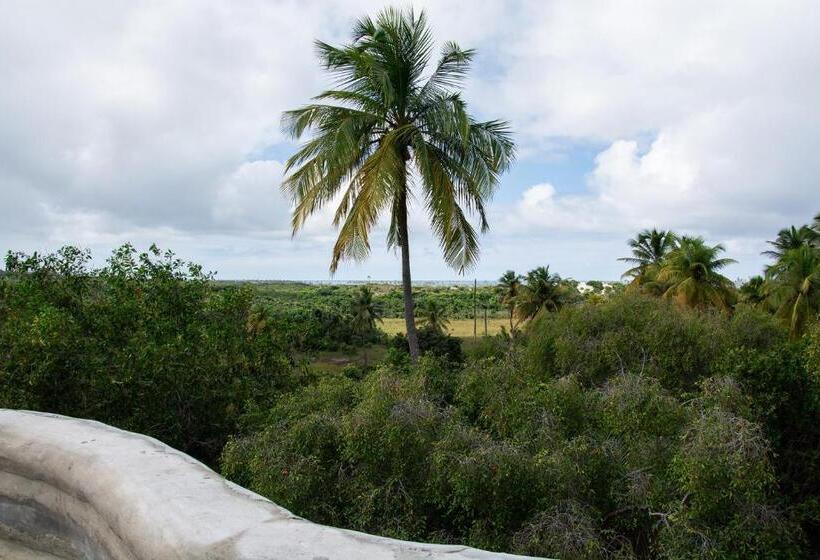 Общежитие Vila Flor Eco Centro